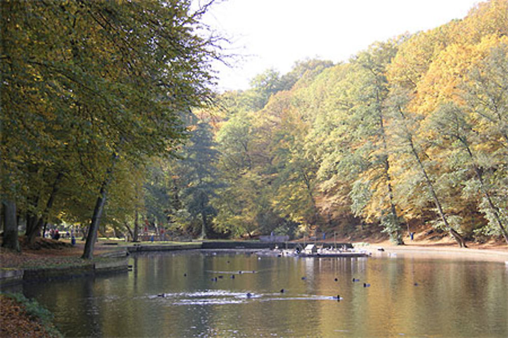 Petit lac de Loverval