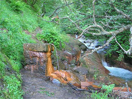 Source d'eau ferrugineuse Source d'eau ferrugineuse