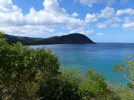 Baie de Deshaies en Guadeloupe