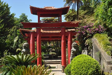 Jardin tropical de Funchal