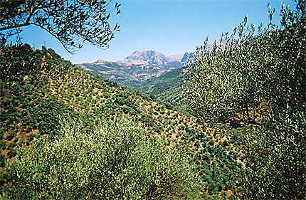 Montagnes de Kabylie