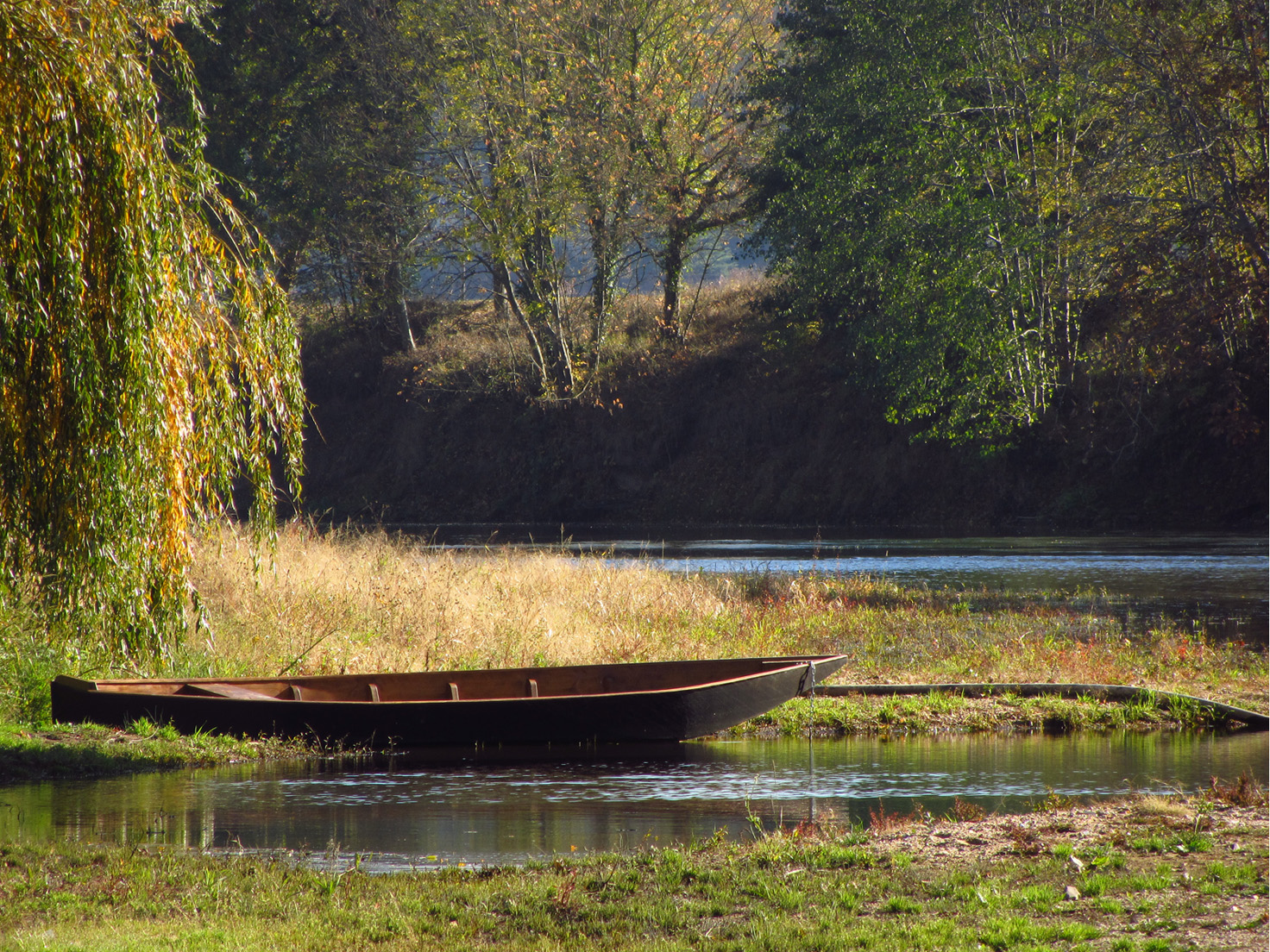 Barque Barque