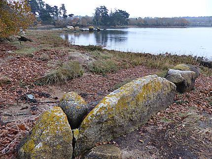 Pierres rondes sur l'Aven