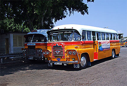 Bus de Malte