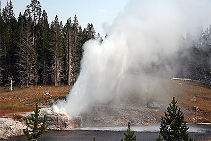 geyser de yellowstone