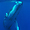 Baleines à Rurutu