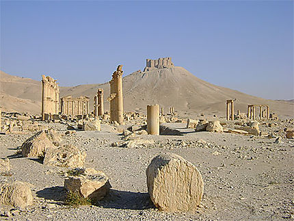 Ruines de Palmyre et le château Qalat ibn Maan