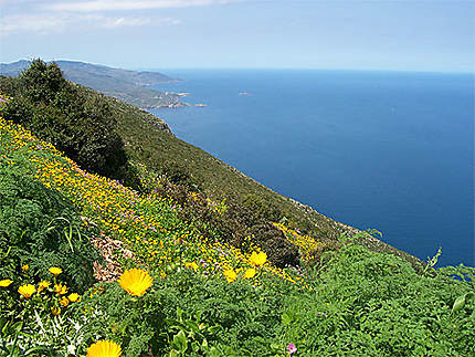 Côte de Kabylie, près de Béjaïa