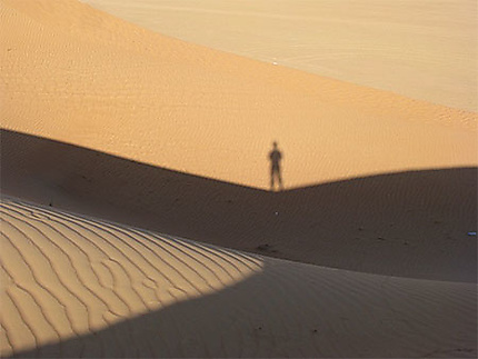 L'ombre dans le désert