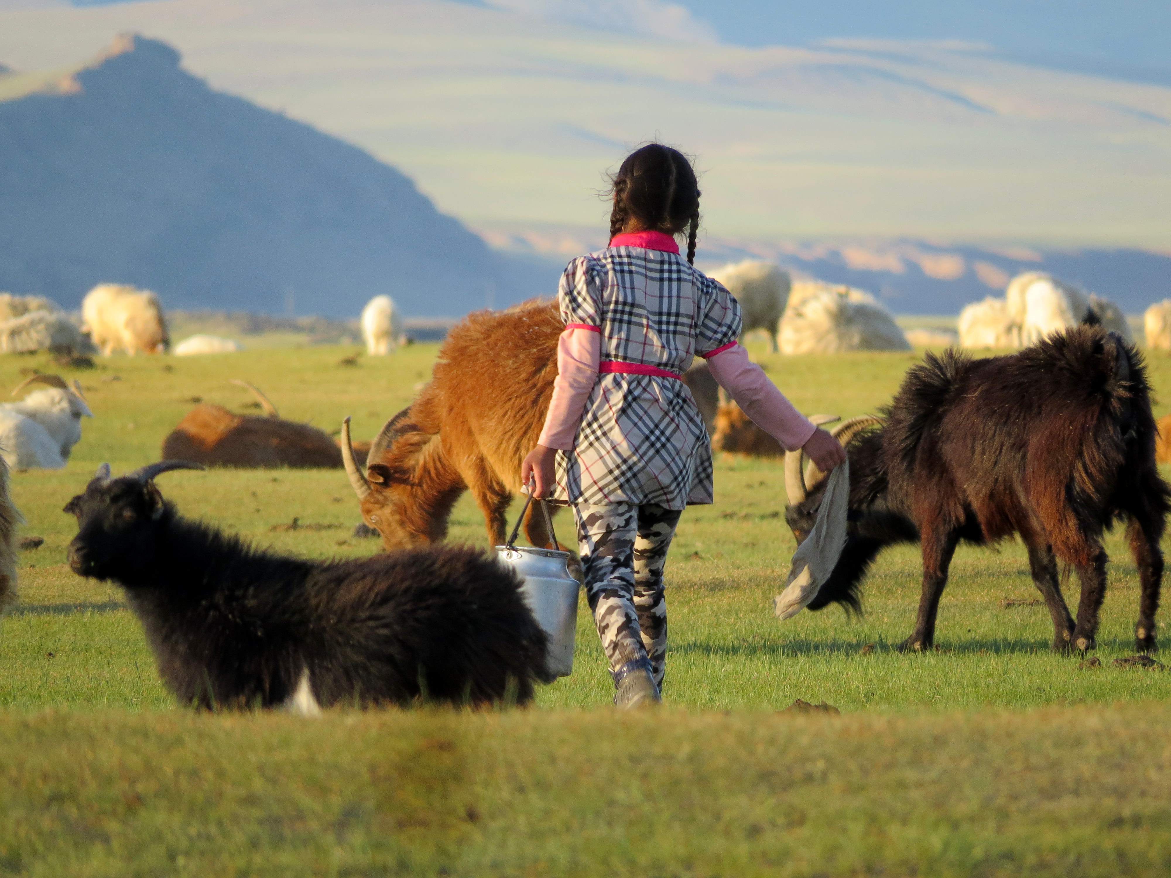 La petite princesse mongole La petite princesse mongole