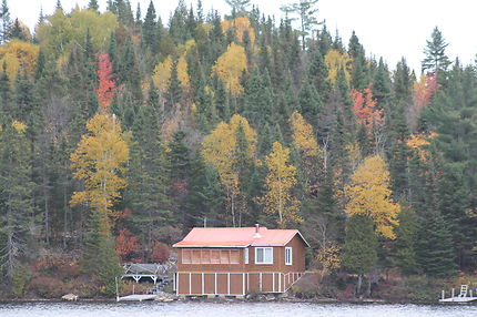 Forêt québécoise en automne