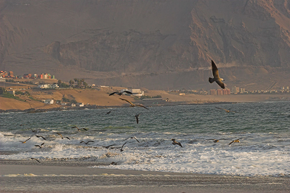 Plage et montagne d'Iquique