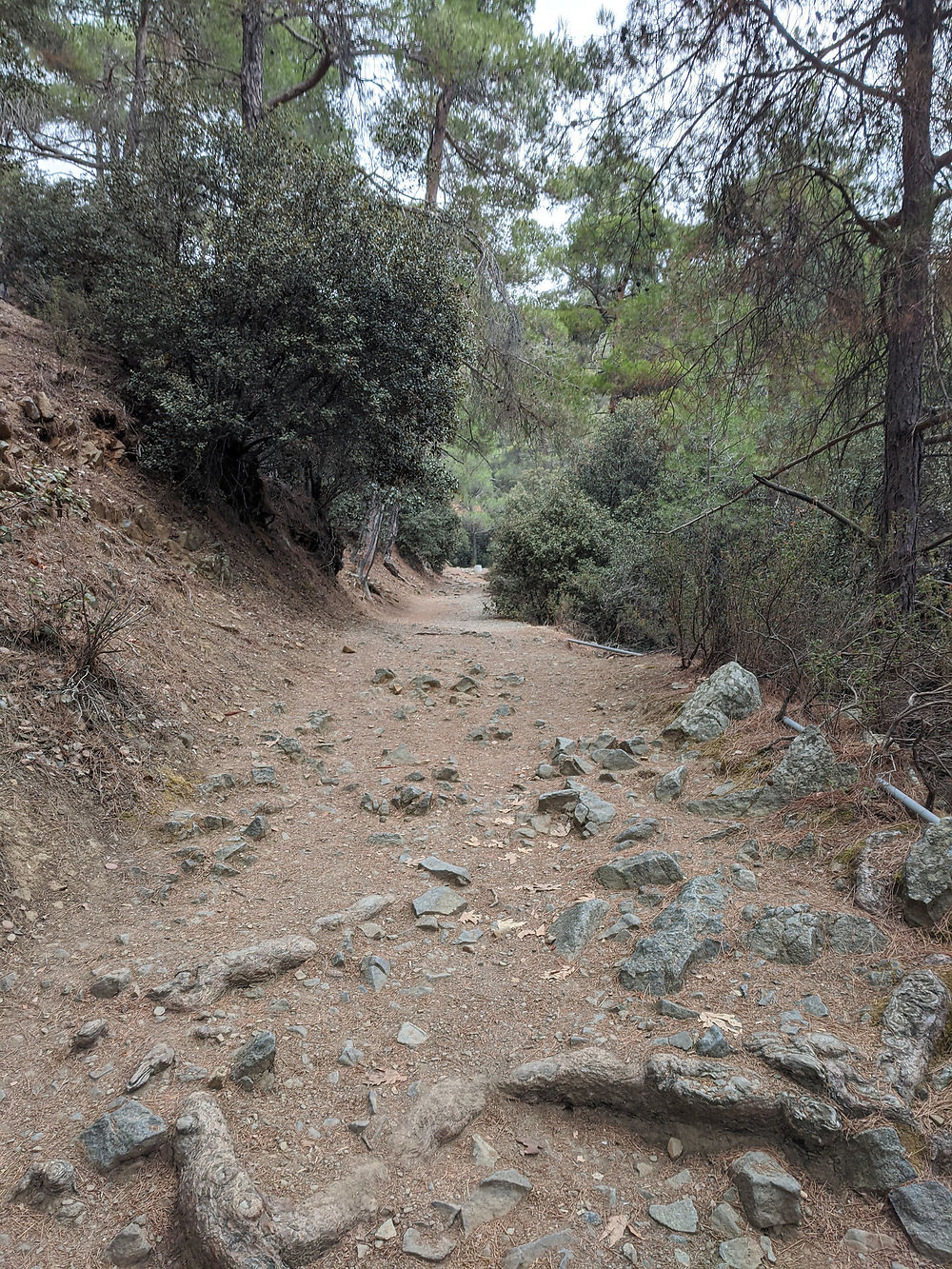 Petits rochers sur le chemin