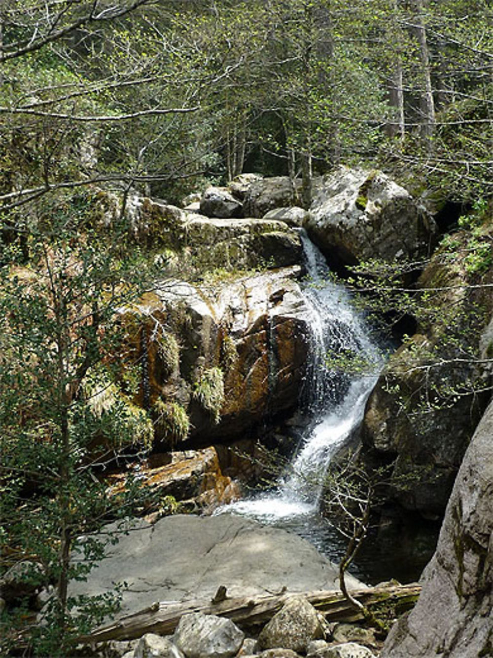 La cascade d'Aïtone