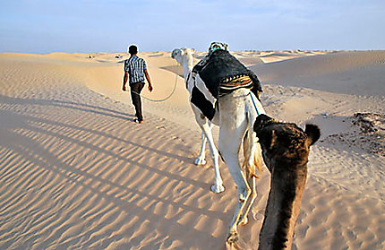 La Tunisie, de la Méditerranée aux mers de dunes