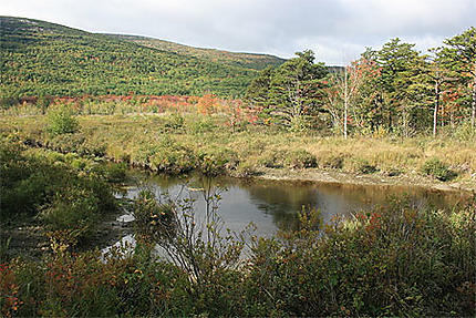 Paysage du Acadia National Park