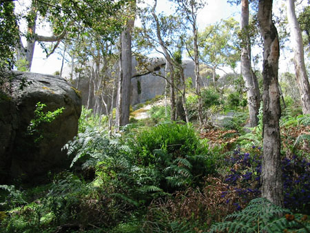 Porongurup N.P. Porongurup N.P.
