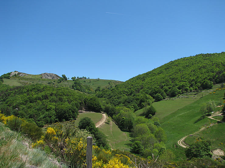 Forêt du Tanargue (Ardèche)