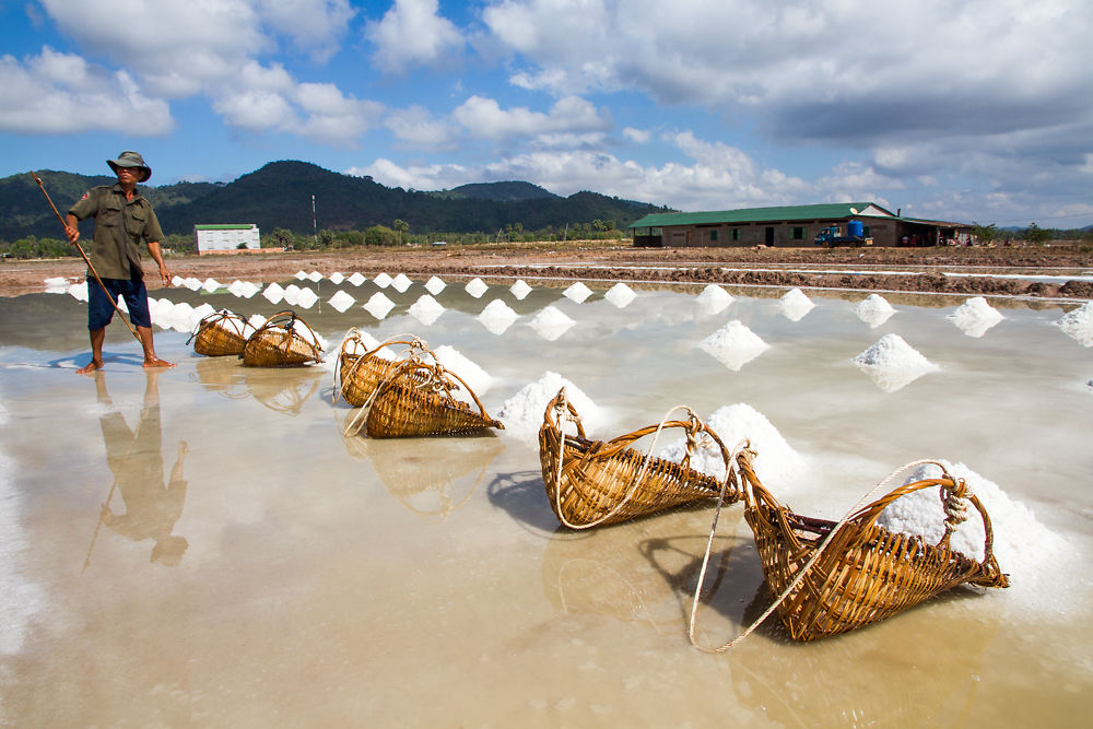 Récolte de sel à Kep