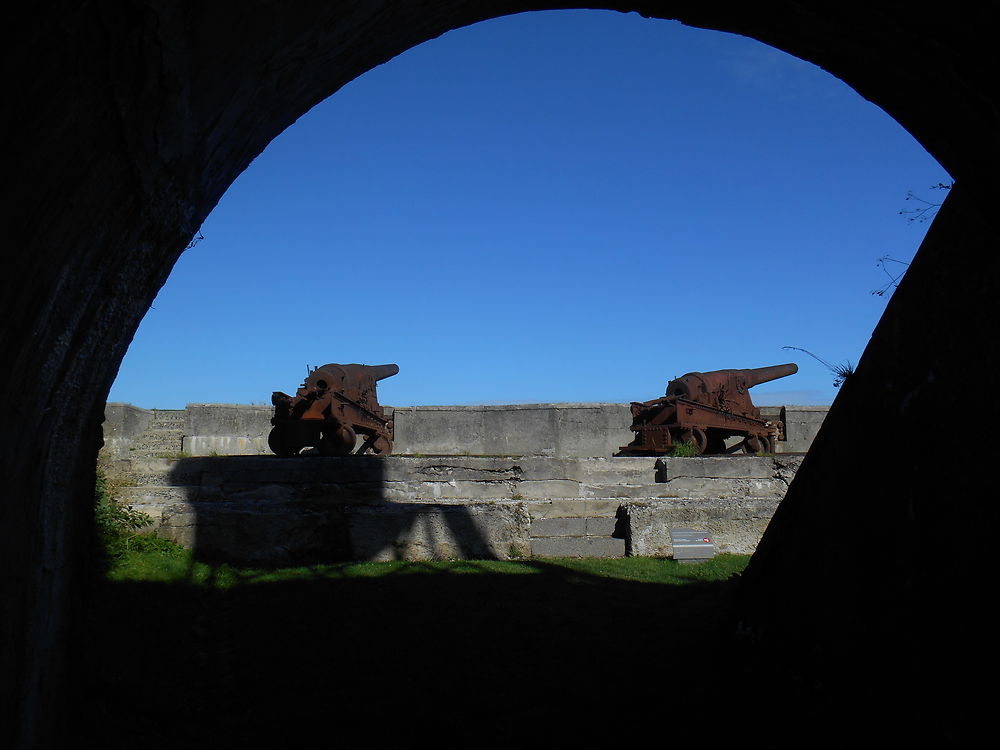 Defense de la forteresse maritime de Trekroner