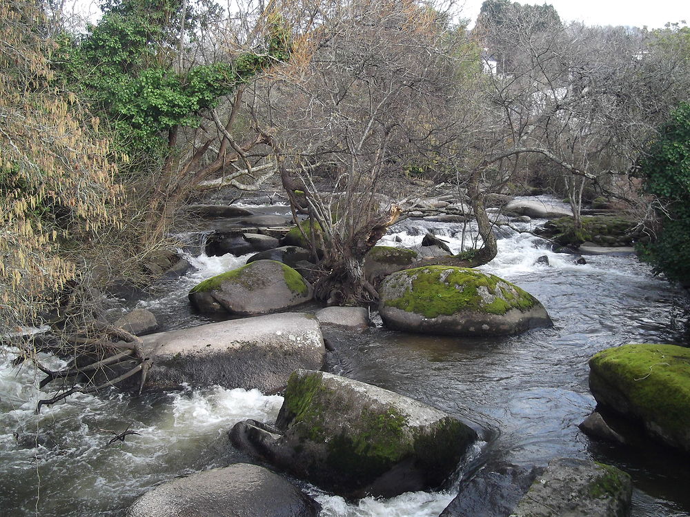 Pont-Aven