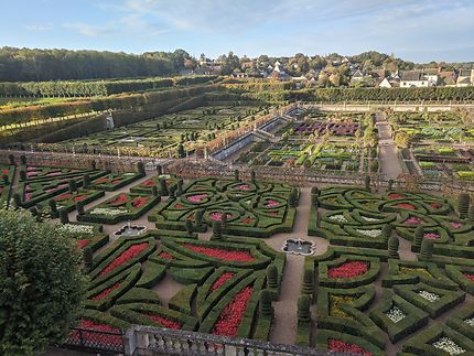 Immenses jardins Château de Villandry