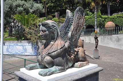 Jardin tropical de Funchal