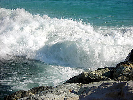 La méditerranée s'encanaille