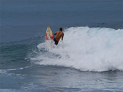 Surfeur 