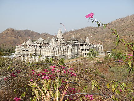 Temple d'Adinath vu des hauteurs