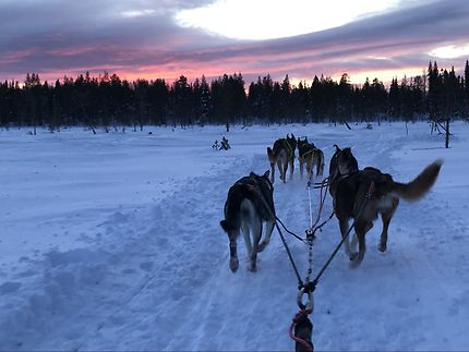 Promenade en Laponie finlandaise, Ylläsjärvi