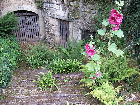 Descente aux caves, à Crissay sur Manse Descente aux caves, à Crissay sur Manse