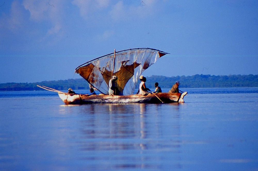 Mangrove de Funzi