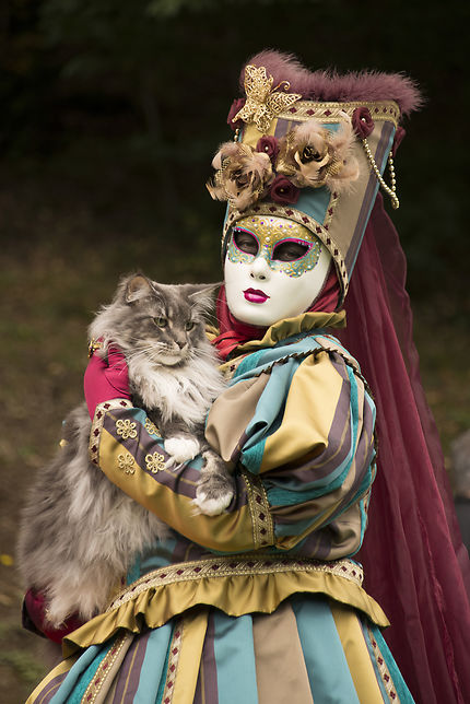 La Princesse et son chat