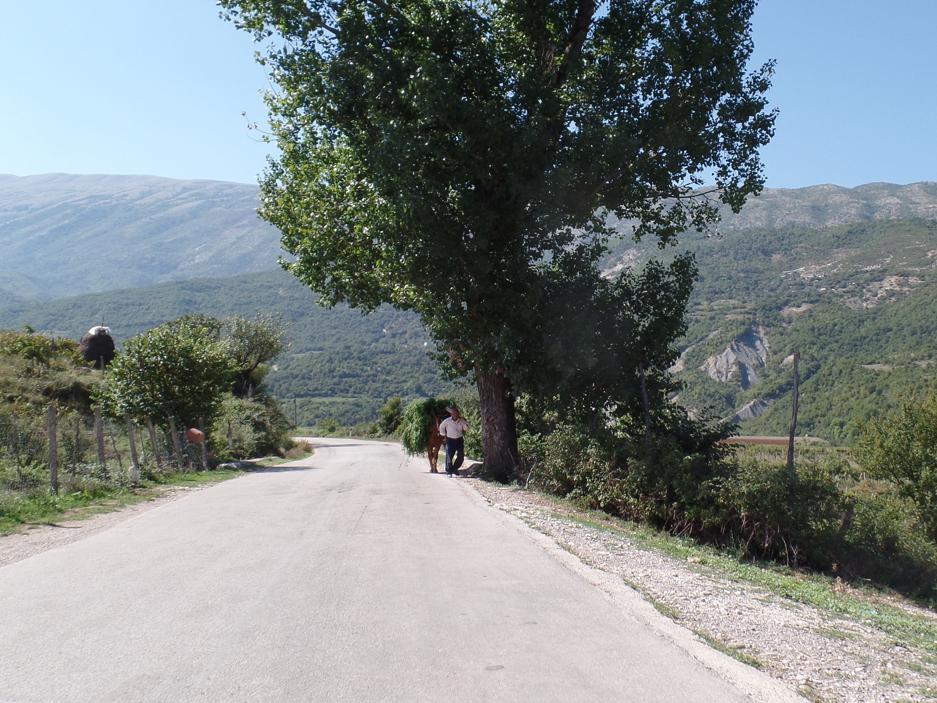 Dans la campagne albanaise Dans la campagne albanaise