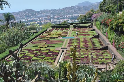 Jardin botanique de Funchal