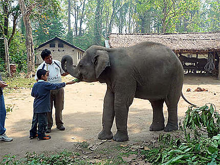 Eléphant et Abhinav 