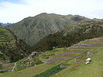 Cultures en terrasses incas