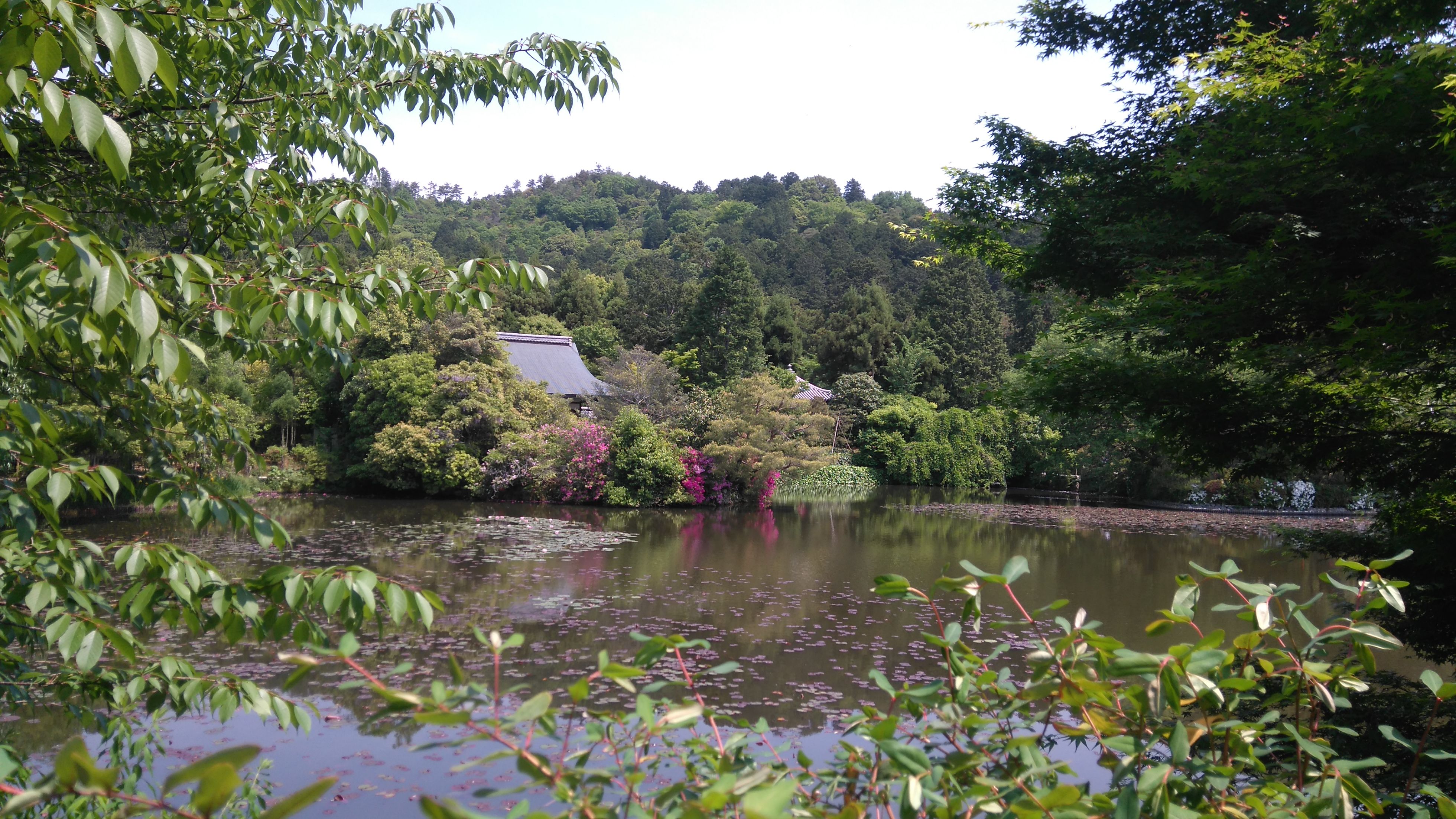 Parc de Ryoan-ji