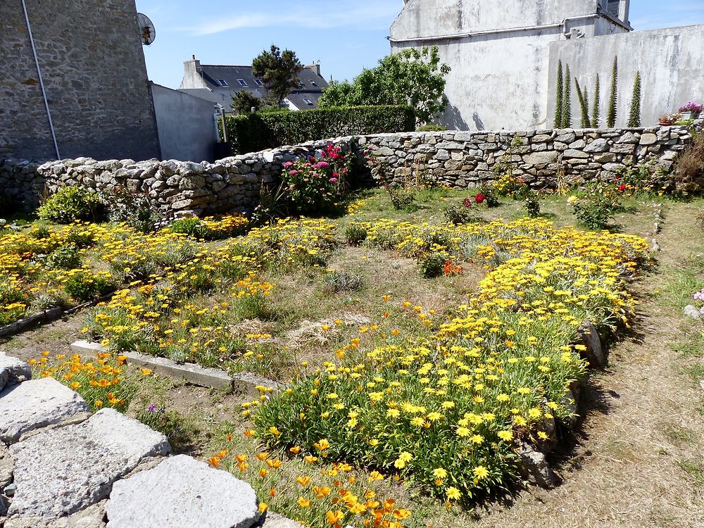 Jardin aux couleurs éclatantes 