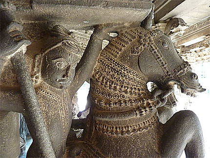 Statue du temple Varadharaja