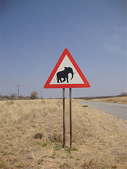 Chaque pays a ses signaux: éléphant