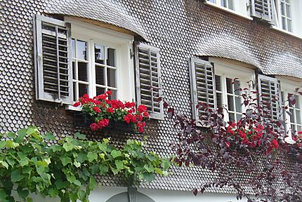 Fenêtres fleuries à Hatlerdorf