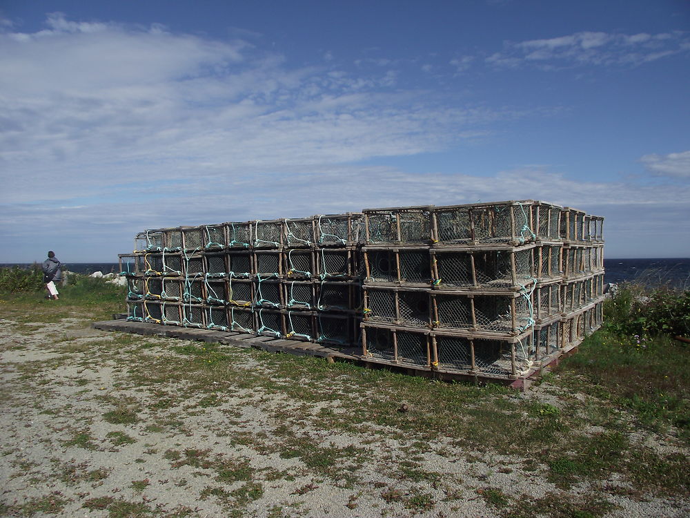 Cages à homards à Anse-à-Valleau