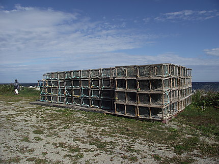 Cages à homards à Anse-à-Valleau