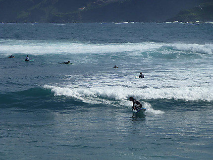 Surf à Puerto de la Cruz