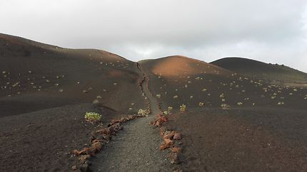 Ruta de los Volcanes