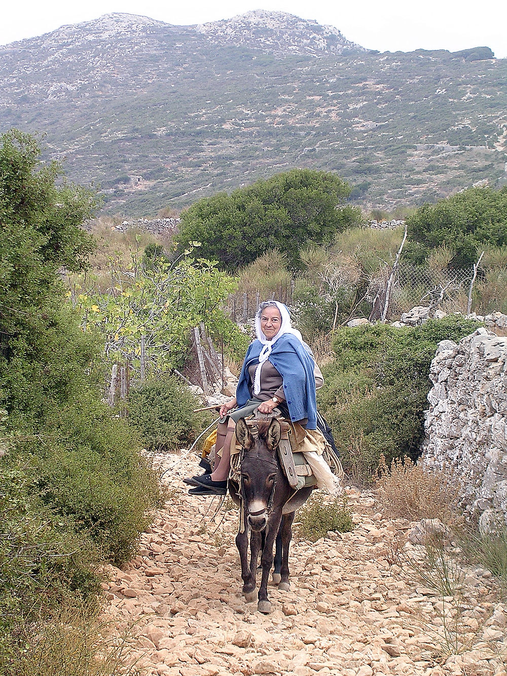 Sur le chemin d'Apollonia