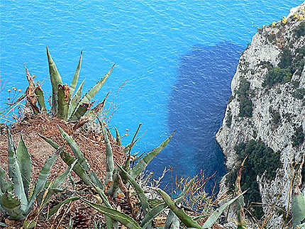 Capri, la côte