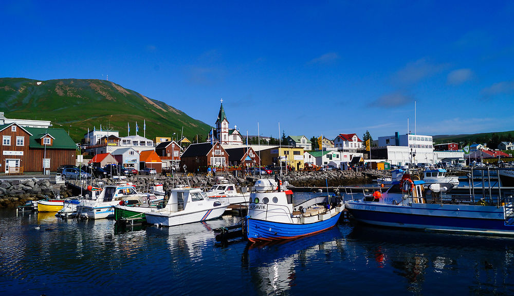 Port de pêche traditionnel